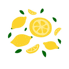 Vector flat illustration with yellow lemons. Hand drawn lemon on white background. Summer design for print, textile, postcard