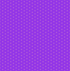 squared flower of life geometry pattern.