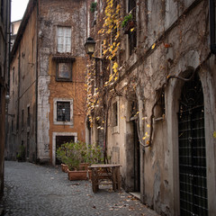 rome, italy, ancient alley with yellow foliage