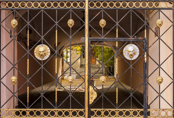 Metal gate with decorative elements in front of the arch entrance