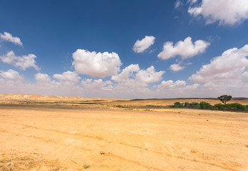 Fototapeta na wymiar Negev desert on a sunny day, Israel