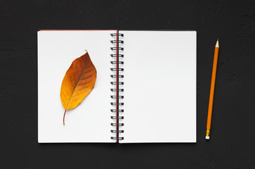 Beautiful dry autumn leaf on notebook and blank space for verse
