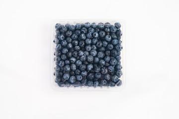 blackberries on white background