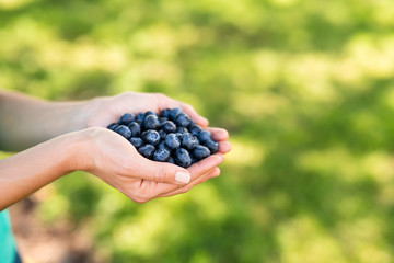 handful of fresh blueberries © Justin