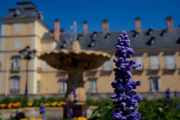 flores en los jardines
