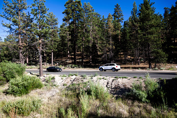 Two Cars On Rural Two Lane Highway With Pine Trees