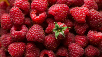 Pink raspberries macro view, new berries harvest