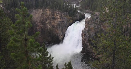 Yellowstone Lower Falls river grand canyon. Upper and Lower falls. National Park in Wyoming geothermal ecosystem environment. Biology, geography and ecology. Millions of tourist and visitors.