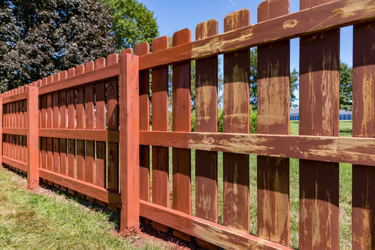 Wooden privacy fence in backyard with pickets being painted