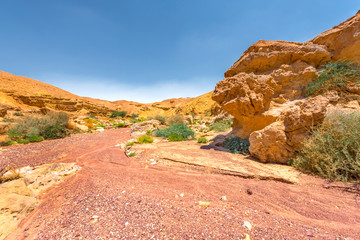 View in Negev desert on a sunny day