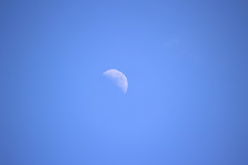 上弦の月