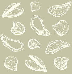 Oyster. Vector drawing