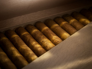close up view of box of  cuban hand made cigars in wooden humidor