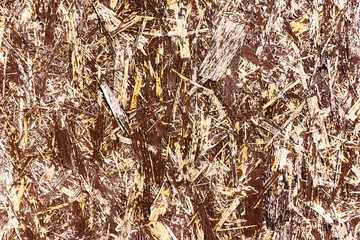 texture of bark