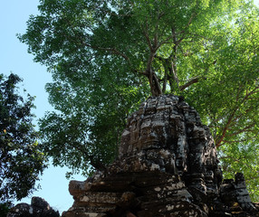 Stone face. Stone head of a man near a tree. Architectural monument.