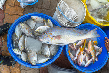 The way of life of fishermen fishing boats to feed their families. many people are waiting for buy...
