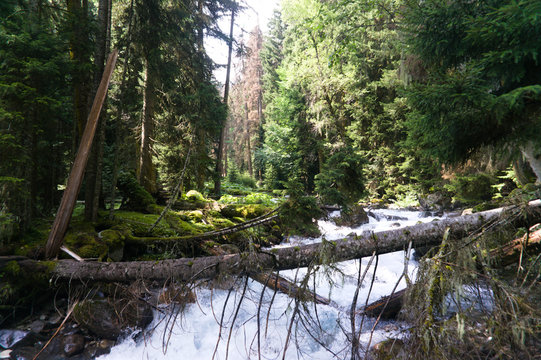 mountain river near dombay and teberda in the northern caucasus, raw orignial