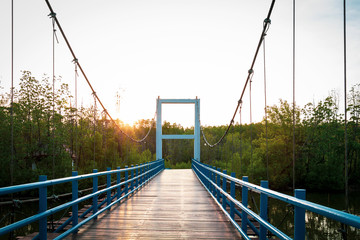 Fototapeta premium Wood suspension bridge over the river in the mangroves forest for travel with beautiful sunshine background.