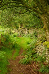 Pastoral Hiking Trail in Rural Wales