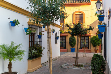 Fototapeta na wymiar Traditional narrow Spanish street of Estepona town, Andalusia, Spain