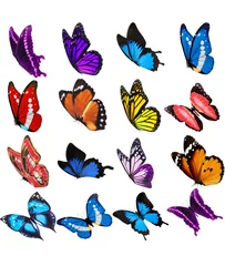 Papier Peint photo Papillons Papillon matériel papillon superposition divers beaux papillons