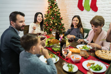 Family Enjoying Christmas Meal At Home