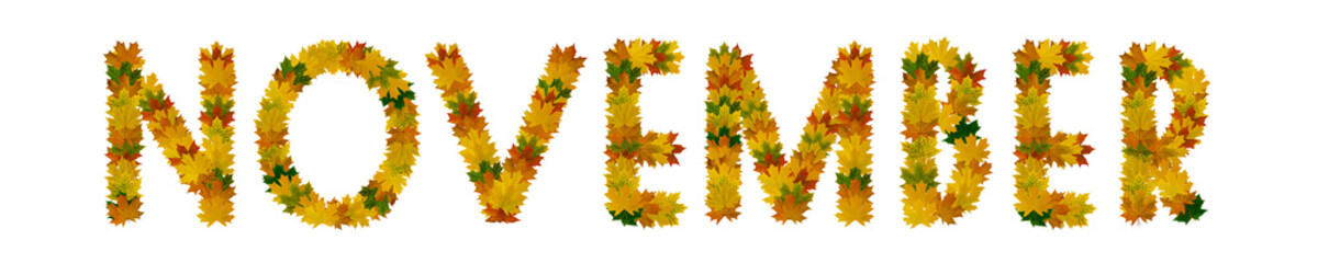 Phrase November of yellow, green and orange maple autumn leaves close-up. Isolate on white background