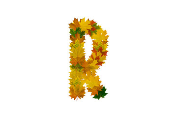 Letter R from autumn maple leaves. Alphabet from green, yellow and orange leaves