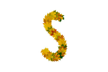 Letter S from autumn maple leaves. Alphabet from green, yellow and orange leaves