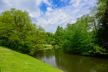 Fototapeta na wymiar Beautiful trees and lake in the park, Dusseldorf