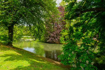 Fototapeta na wymiar Beautiful trees and lake in the park, Dusseldorf