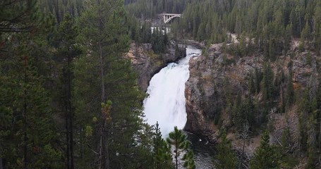 Yellowstone Lower Falls river grand canyon. Upper and Lower falls. National Park in Wyoming geothermal ecosystem environment. Biology, geography and ecology. Millions of tourist and visitors.
