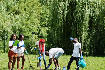 Group of happy african volunteers planting tree in park. Africa volunteering, charity, people and ecology concept.