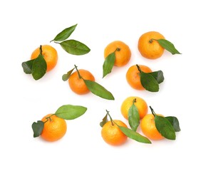 Mandarins with fresh green sprig isolated on white background