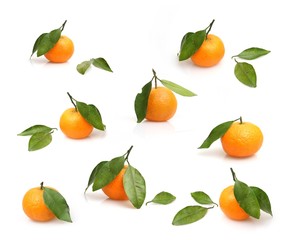 Mandarins with fresh green sprig isolated on white background