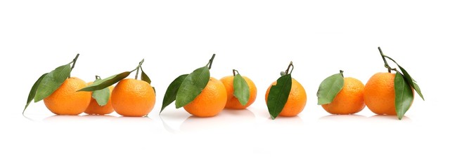 Mandarins with fresh green sprig isolated on white background