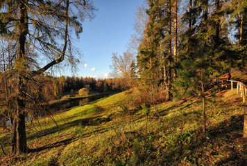 Fototapeta premium Sunny frosty morning in the landscape Park of Pavlovsk.