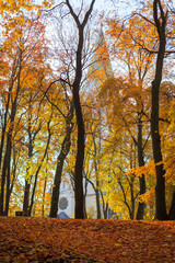 Fototapeta premium Autumn in a city park