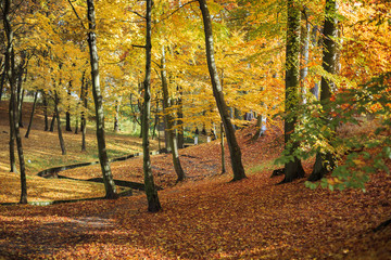 Autumn landscapes in a city park