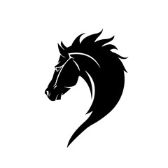 Horse head vector illustration on a white background