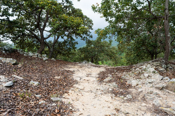 RESTOS ARQUEOLOGICOS