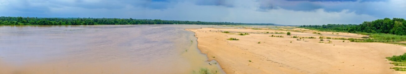beside the bank of river watching the natural beauty of amazon like forest.