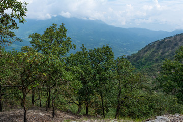 Obraz premium RESTOS ARQUEOLOGICOS