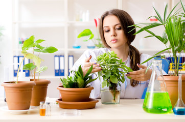 Young beautiful biotechnology chemist working in the lab