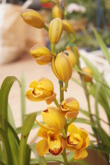 Obraz premium Tiempo libre