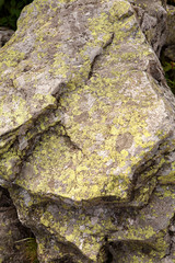 Texture of a large stone