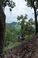 RESTOS ARQUEOLOGICOS