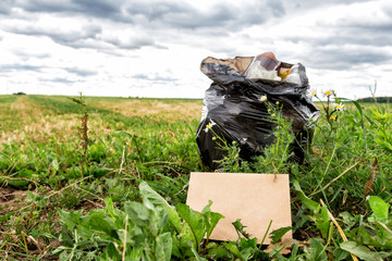 Recycle waste litter rubbish garbage trash junk clean training. Nature cleaning, volunteer ecology green concept. Young woman pick up spring forest at sunset . Environment plastic pollution