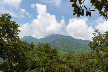 Obraz premium zona arqueologica