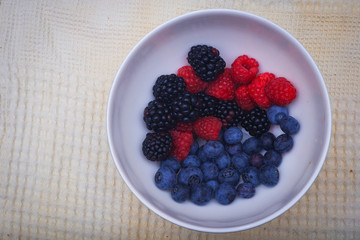 Background of fresh fruits and berries. Ripe blackberries, blueberries, plums, raspberries. Mix berries and fruits. Top view. Background berries and fruits. Black-blue and red food.